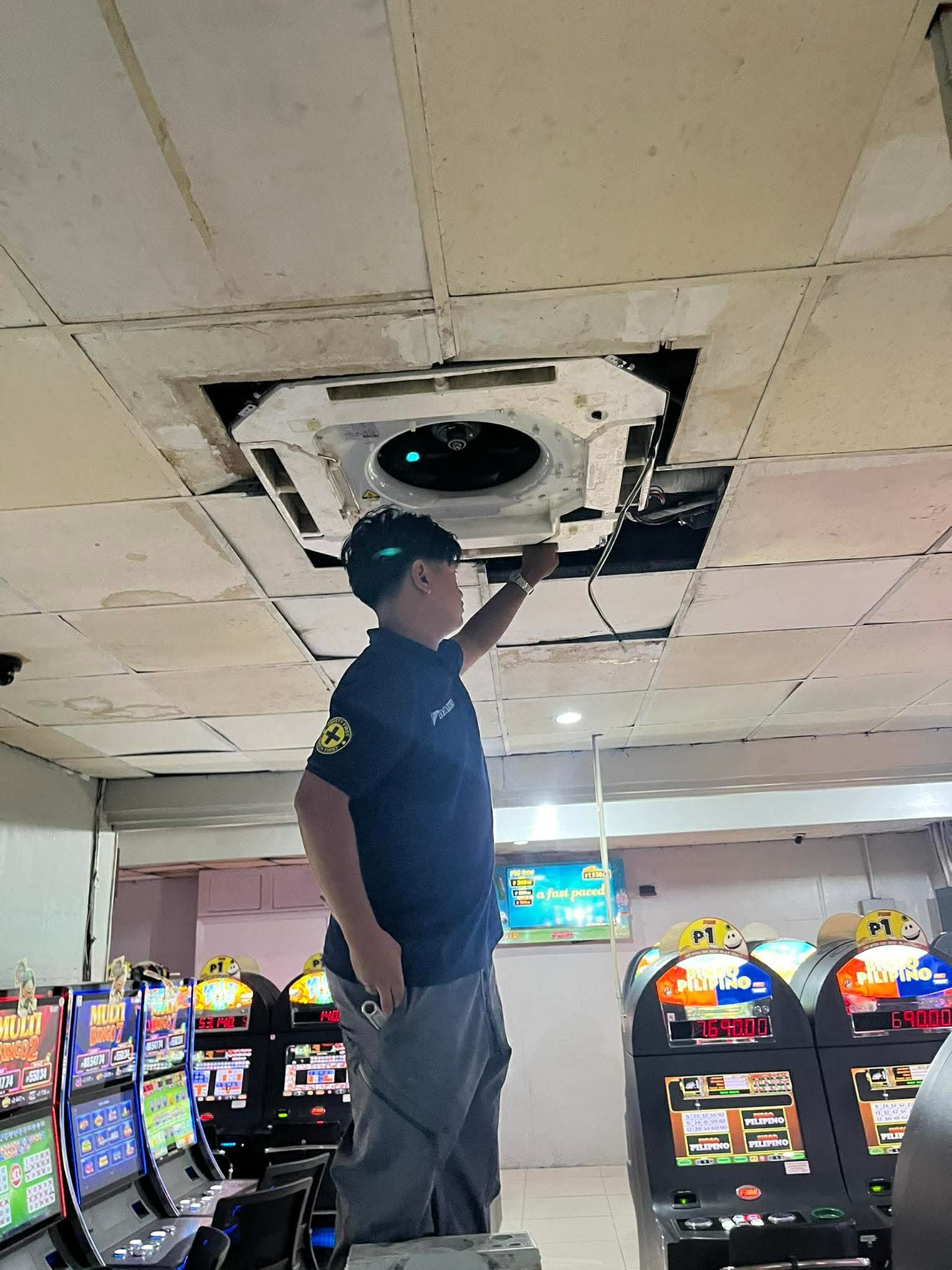 Bonz project 13